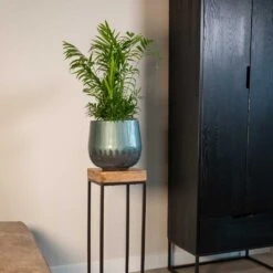 Ninthe Metal Plant Pot - Metallic Petrol -Indoor Plants Ninthe metallic green 01