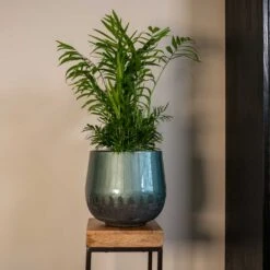 Ninthe Metal Plant Pot - Metallic Petrol -Indoor Plants Ninthe metallic green 02