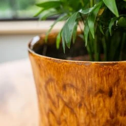 Nolan Plant Pot - Caramel -Indoor Plants Nolan Caramel 2