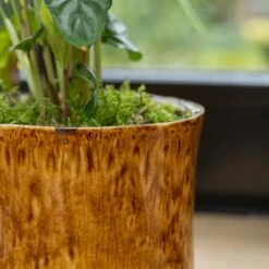 Nolan Plant Pot - Caramel -Indoor Plants Nolan Caramel 6