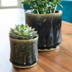 Nolan Plant Pot - Pine -Indoor Plants Nolan Pine 2