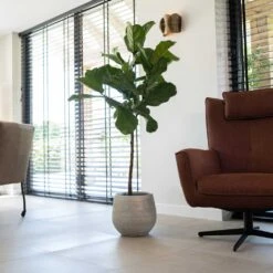 Noor Plant Pot - Metallic Grey -Indoor Plants Noor Plant Pot Metallic Grey 4