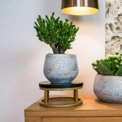 Noor Plant Pot - Metallic Grey -Indoor Plants Noor Plant Pot Metallic Grey 6