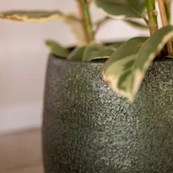 Noor Plant Pot - Velvet Green -Indoor Plants Noor Plant Pot Velvet Green 3