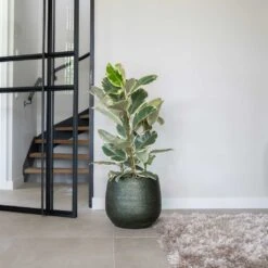 Noor Plant Pot - Velvet Green -Indoor Plants Noor Plant Pot Velvet Green 4