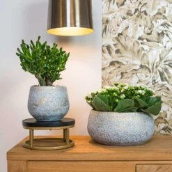 Noor Plant Bowl - Metallic Grey -Indoor Plants Noor metalic grey 01