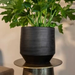Norell Plant Pot - Black -Indoor Plants Norell black 03