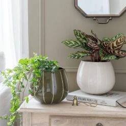 Nova Plant Pot - Green -Indoor Plants Nova Plant Pot Cream 23 x 18cm 11781764 6d1a 4491 88d6 b6d75afe7217