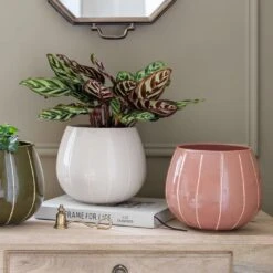 Nova Plant Pot - Rose -Indoor Plants Nova Plant Pot Rose 23 x 18cm 6f69093b d56e 46c7 94b7 24c715c1effc