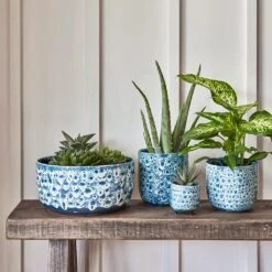 Ocean Glaze Plant Bowl - Sapphire -Indoor Plants Ocean Glaze Plant Bowl Sapphire 25 x 12.5cm 2 1