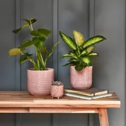 Ocean Glaze Plant Pot - Morganite -Indoor Plants Ocean Glaze Plant Pot Morganite 13 x 13cm