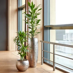 Opus Hammered Globe Planter - Silver -Indoor Plants Opus Hammered Globe Silver Opus Hammered Partner Silver