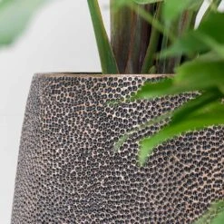 Opus Hit Darcy Planter - Gold 31 Opus Hit Darcy Planter - Gold -Indoor Plants Opus Hit Darcy Planter Gold Textures