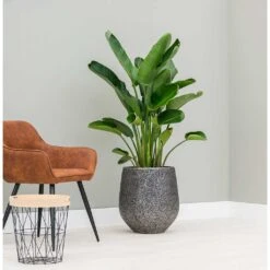 Opus Hit Darcy Planter - Silver -Indoor Plants Opus Hit Darcy Planter Silver Lifestyle