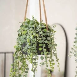 Patt Hanging Plant Pot - Black Washed -Indoor Plants Patt Hanging Plant Pot Black Washed Trailing Houseplant