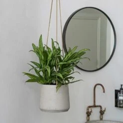 Patt Hanging Plant Pot - Grey Washed -Indoor Plants Patt Hanging Plant Pot Grey Washed