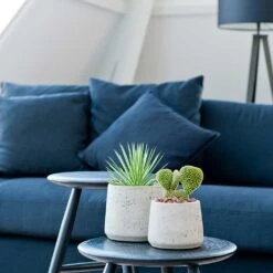 Patt Plant Pot - Grey Washed -Indoor Plants Patt Plant Pot Grey Washed Houseplants