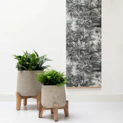 Patt Plant Pot - Low Stand - Grey Washed -Indoor Plants Patt Plant Pot Low Stand Grey Washed Lifestyle 01