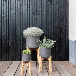Patt Plant Pot - Tall Stand - Black Washed -Indoor Plants Patt Plant Pot Tall Stand Black Washed Lifestyle 01
