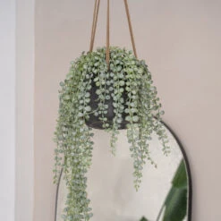 Patt Hanging Plant Pot - Black Washed -Indoor Plants PattHangingPlantPot BlackWashed 3