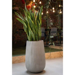 Patt High Plant Vase - Ridged Cement -Indoor Plants PattHighPlantVase RidgedCement 5