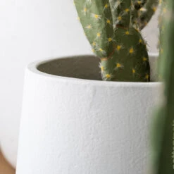 Patt Plant Pot - White Washed -Indoor Plants PattPlantPot WhiteWashed 2