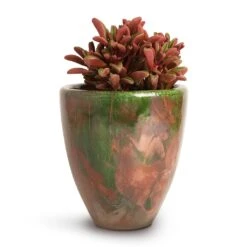 Peperomia Graveolens - Ruby Glow Radiator Plant -Indoor Plants Peperomia graveolens Ruby Glow Radiator Plant 10.5x17cm Livin Beauty Flowerpot Copper Green Matt Smooth 15x17cm