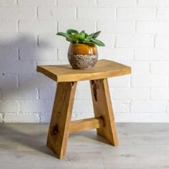 Lindy Plant Pot - Ochre -Indoor Plants Peperomia obtusifolia Green Baby Rubber Plant Lindy Plant Pot Ochre natural