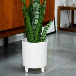 Pisa Plant Pot - White -Indoor Plants Pisa Plant Pot White 20 x 24cm