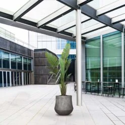 Polystone Coated Darcy Planter - Raw Grey 12 Polystone Coated Darcy Planter - Raw Grey -Indoor Plants Polystone Coated Darcy Planter Raw Grey LS1