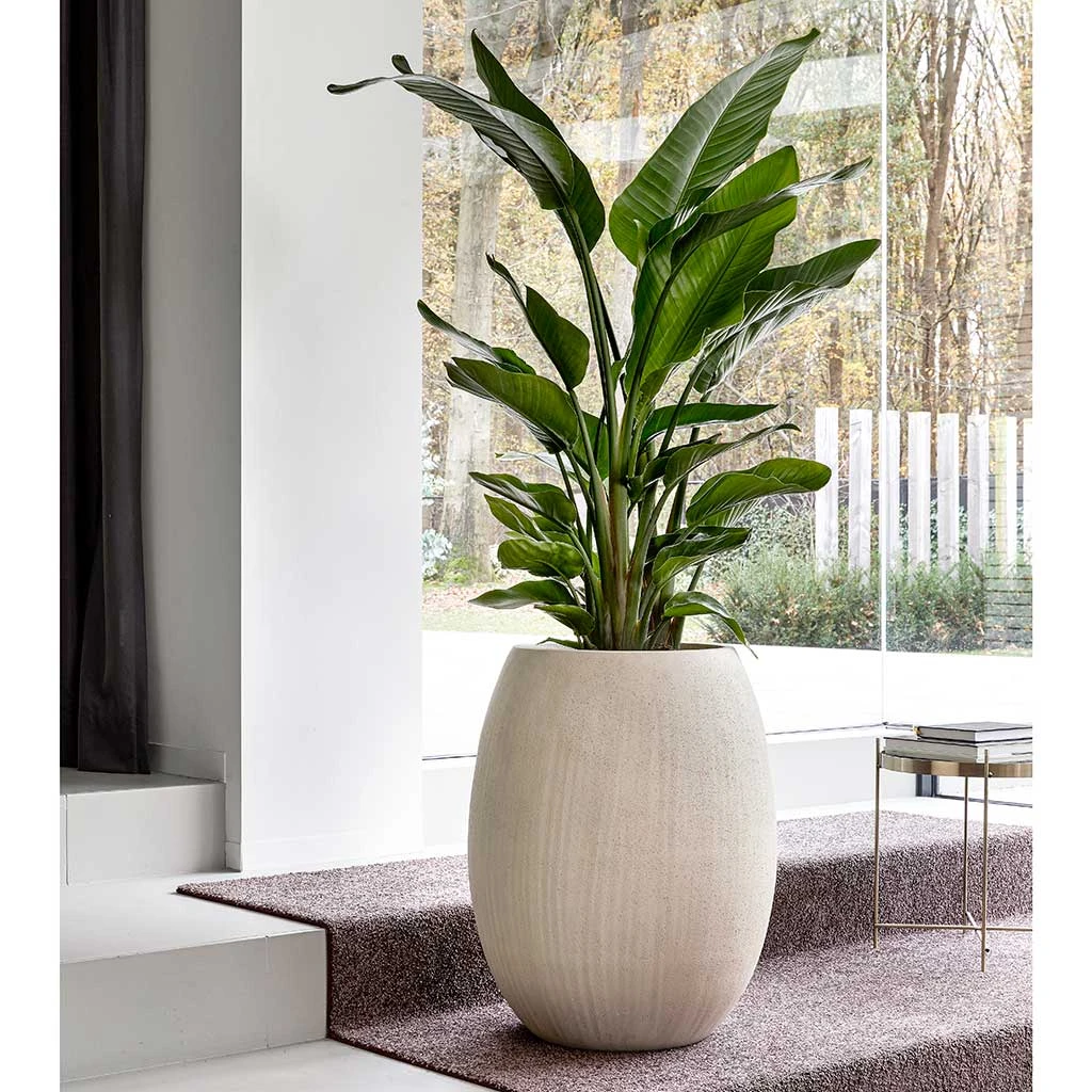 Polystone Coated Plain Balloon Planter - Natural 2 Polystone Coated Plain Balloon Planter - Natural - Image 2