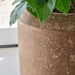 Polystone Coated Plain Coppa Planter - Rock -Indoor Plants Polystone Coated Plain Coppa Planter Rock 1
