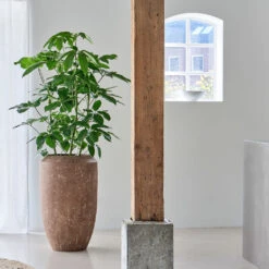 Polystone Coated Plain Coppa Planter - Rock -Indoor Plants PolystoneCoatedPlainCoppaPlanter Rock 4