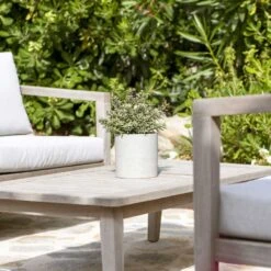 Puk Plant Pot - Grey Washed -Indoor Plants Puk Plant Pot Grey Washed Lifestyle