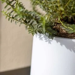 Puk Essentials Planter - Matt White -Indoor Plants Puk Planter Matt White Close Up