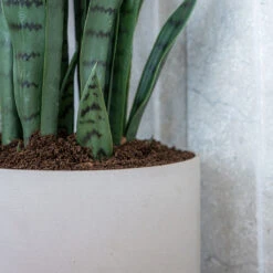 Puk Refined Planter - Natural White -Indoor Plants Puk Refined Planter Natural White Lifestyle 003