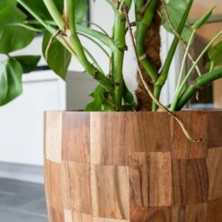 Quinn Planter - Natural -Indoor Plants Quinn Natural 2