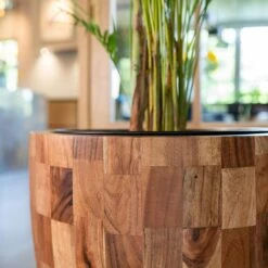 Quinn Planter - Natural -Indoor Plants Quinn Natural 4