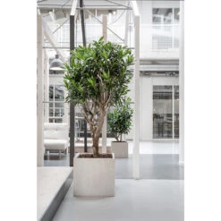 Raindrop Cube Planter - Stone -Indoor Plants Raindrop Cube Planter Stone Lifestyle