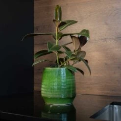 Remi Plant Pot - Green -Indoor Plants Remi green 02