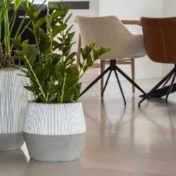 Harley Plant Pot - Ridged White Stripe 9 Harley Plant Pot - Ridged White Stripe -Indoor Plants Ridged Harley Plant Pot White Stripe Lifestyle 2