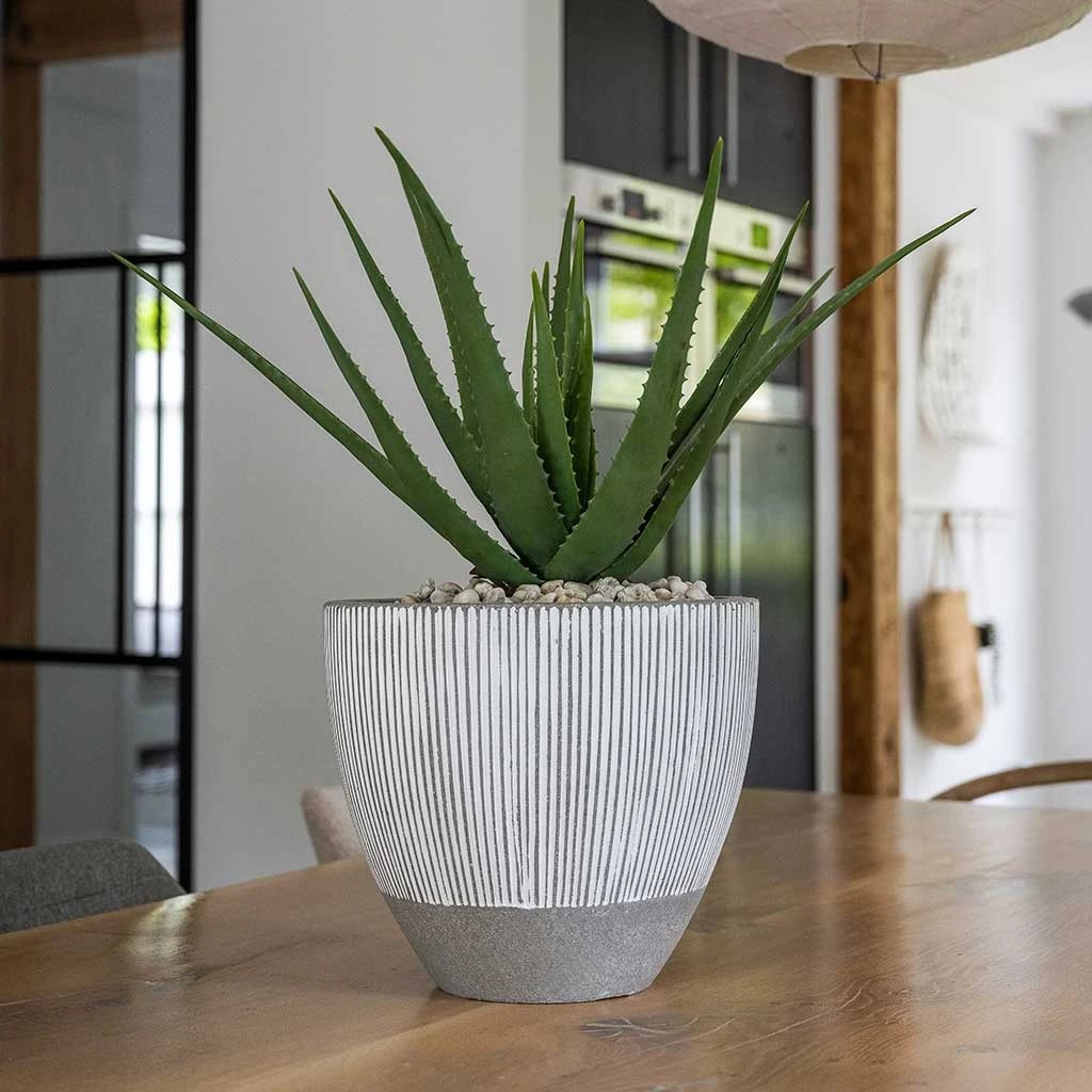 Jesslyn Plant Pot - Ridged White Stripe 8 Jesslyn Plant Pot - Ridged White Stripe - Image 8