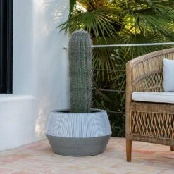 Low Harley Plant Pot - Ridged White Stripe -Indoor Plants Ridged Low Harley Plant Pot White Stripe Large Cactus