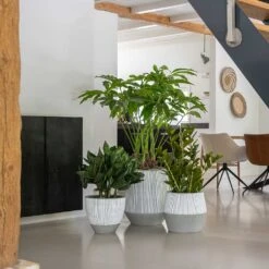 Tall Harith Plant Pot - Ridged White Stripe -Indoor Plants Ridged White Stripe Planters e921f3a4 ef29 4d92 b161 274457b1769a