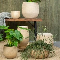 Ryan Plant Pot - Sand Gold -Indoor Plants Ryan Plant Pot Sand Gold