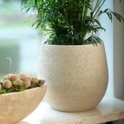 Ryan Plant Pot - Sand Gold -Indoor Plants Ryan Plant Pot Sand Gold Parlour Palm