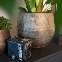 Ryan Plant Pot - Shiny Gold 22 Ryan Plant Pot - Shiny Gold -Indoor Plants Ryan Plant Pot Shiny Gold Lifestyle 02