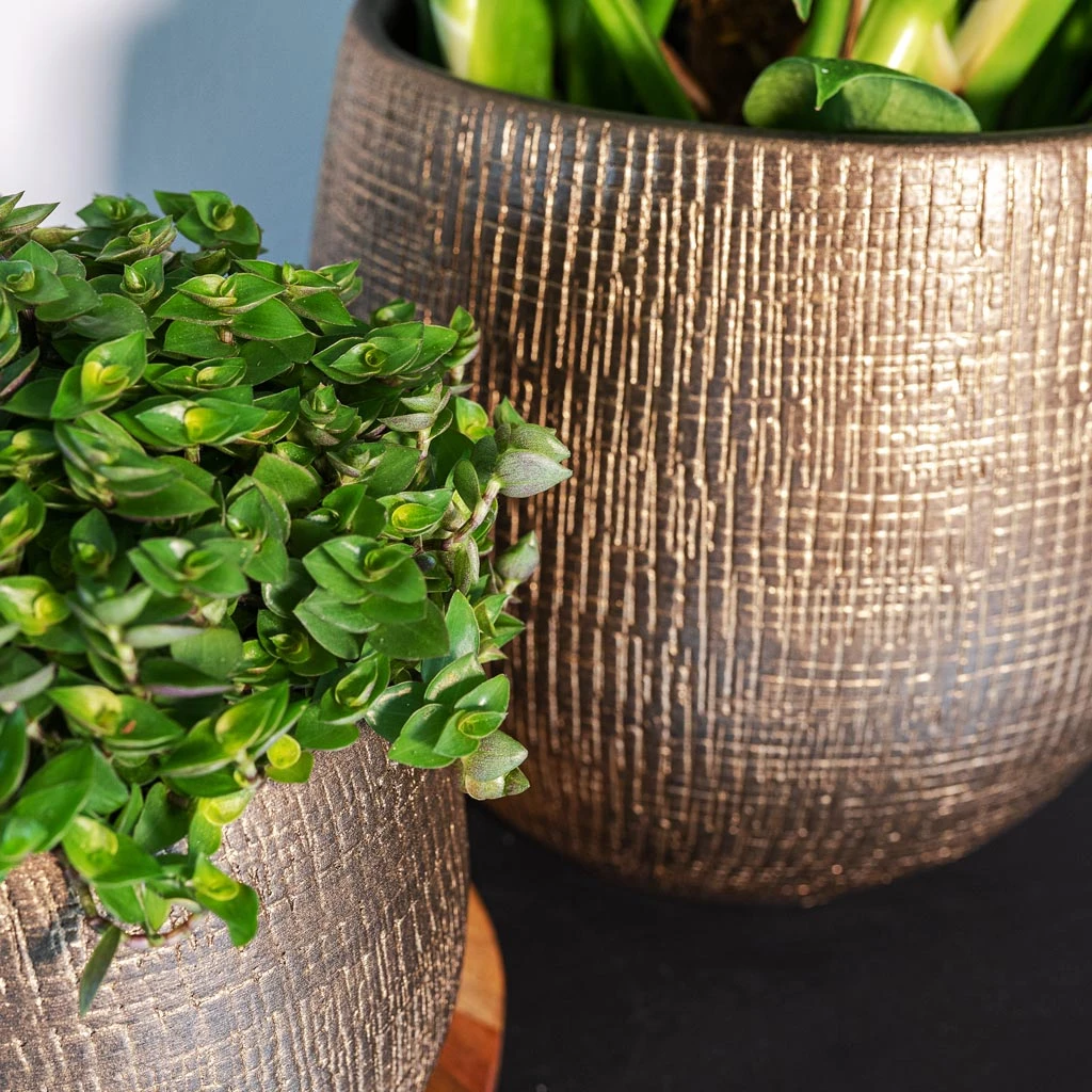 Ryan Plant Pot - Shiny Gold 2 Ryan Plant Pot - Shiny Gold - Image 2