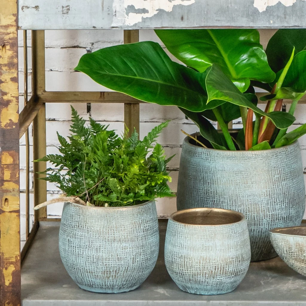 Ryan Plant Pot - Blue Gold 2 Ryan Plant Pot - Blue Gold - Image 2