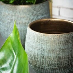 Ryan Plant Pot - Blue Gold 21 Ryan Plant Pot - Blue Gold -Indoor Plants RyanPlantPot BlueGold 3 min